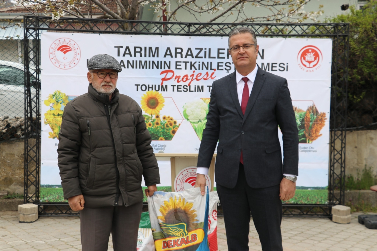 Samsun’da Tohum Dağıtımı Yapıldı, Kanola Tarlaları İncelendi