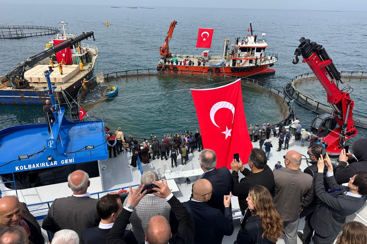 Yakakent 1. Türk Somonu Hasat Şenliği’ne Yoğun İlgi