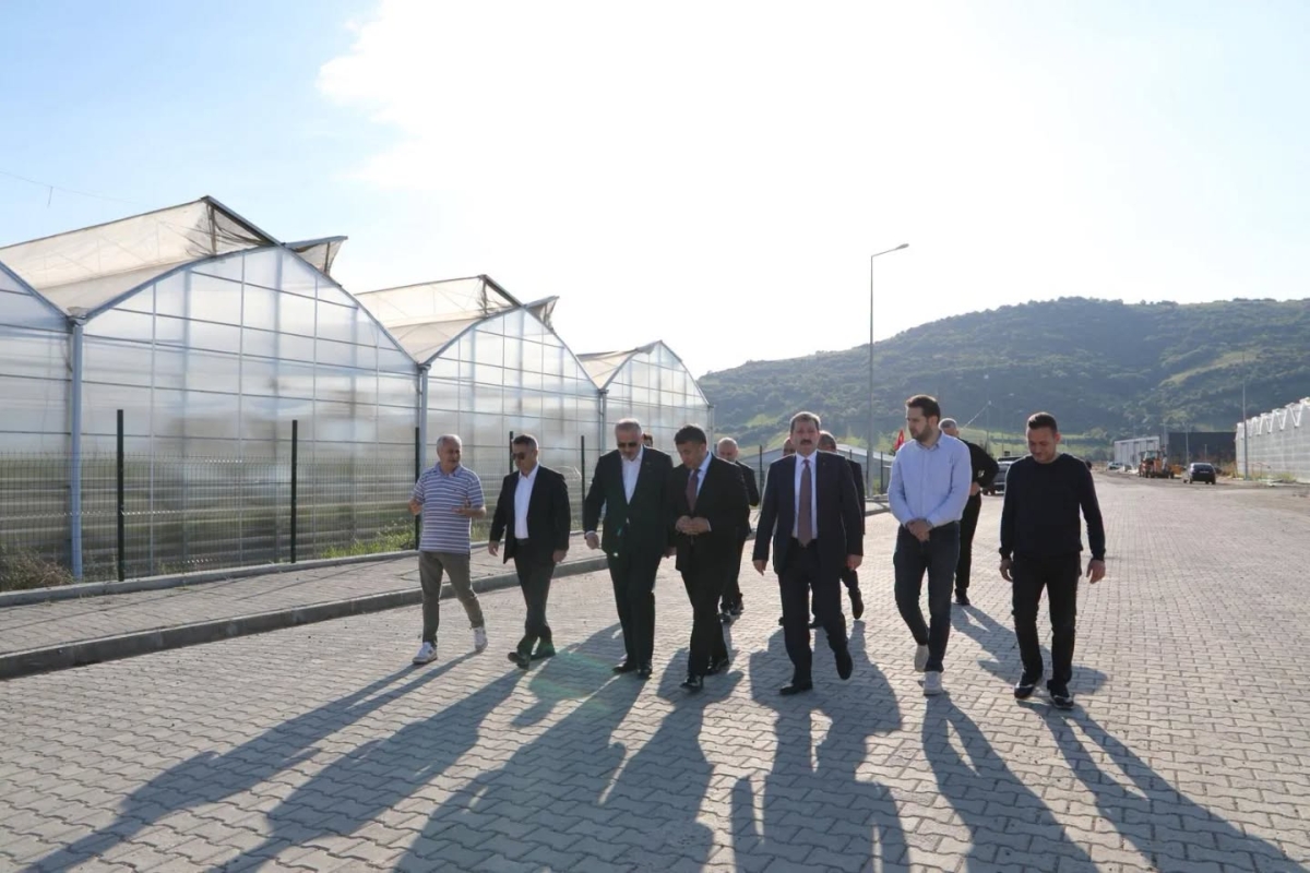 Vali Orhan Tavlı’dan Bafra Sera OTB ve Karma OSB’de İnceleme