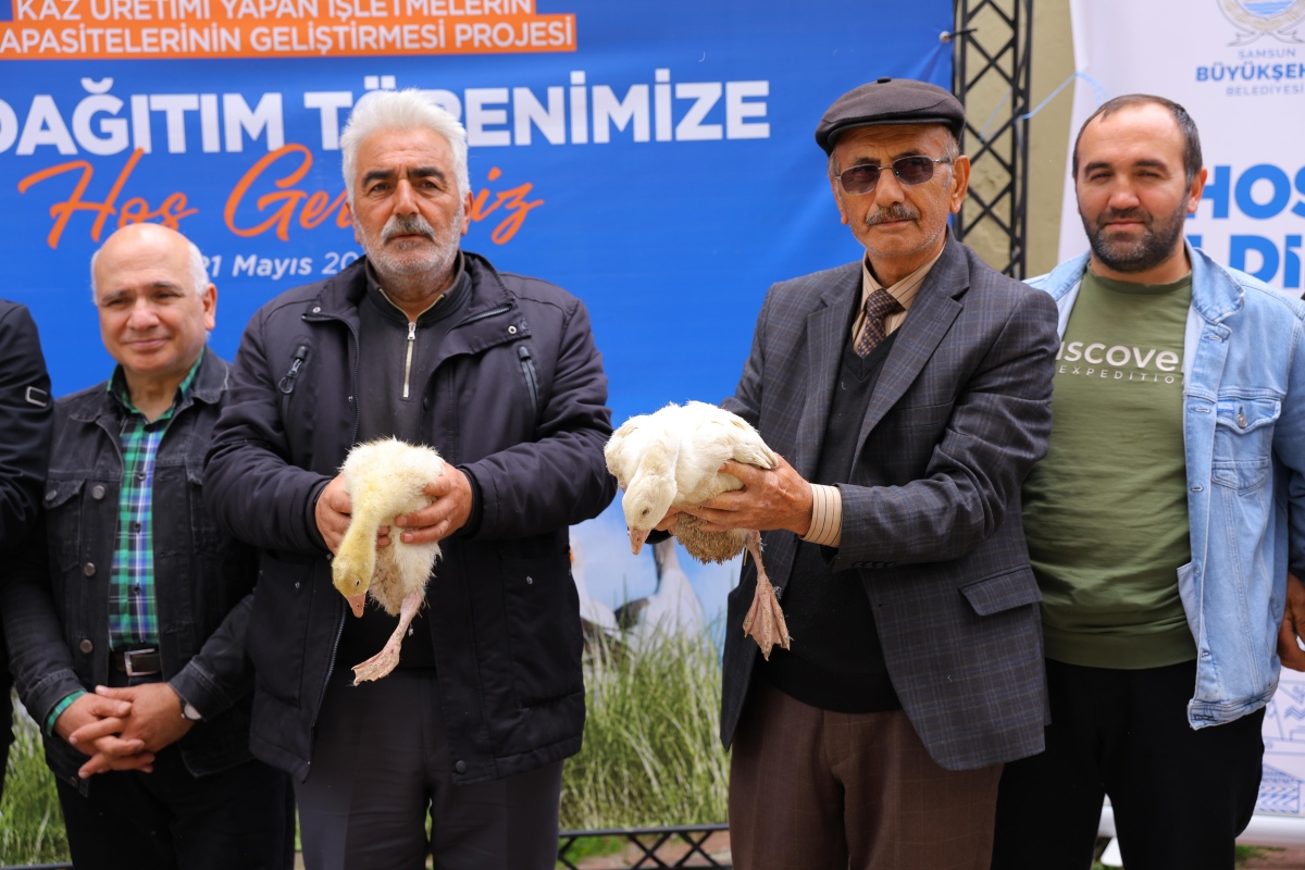 Büyükşehir’den Üreticilere Kaz Desteği
