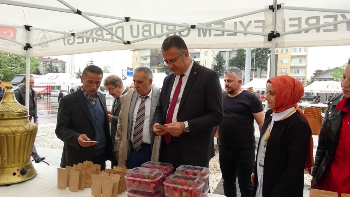 Samsun’da Salep Üretimi Katlanarak Büyüyor