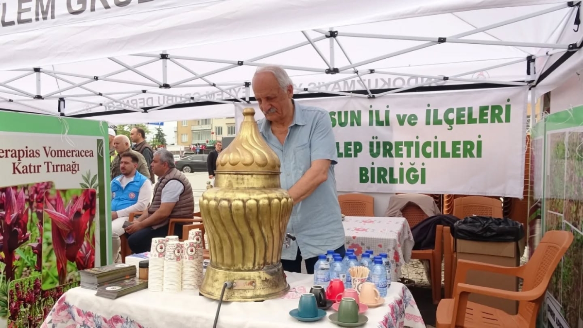 Samsun’da Salep Üretimi Katlanarak Büyüyor