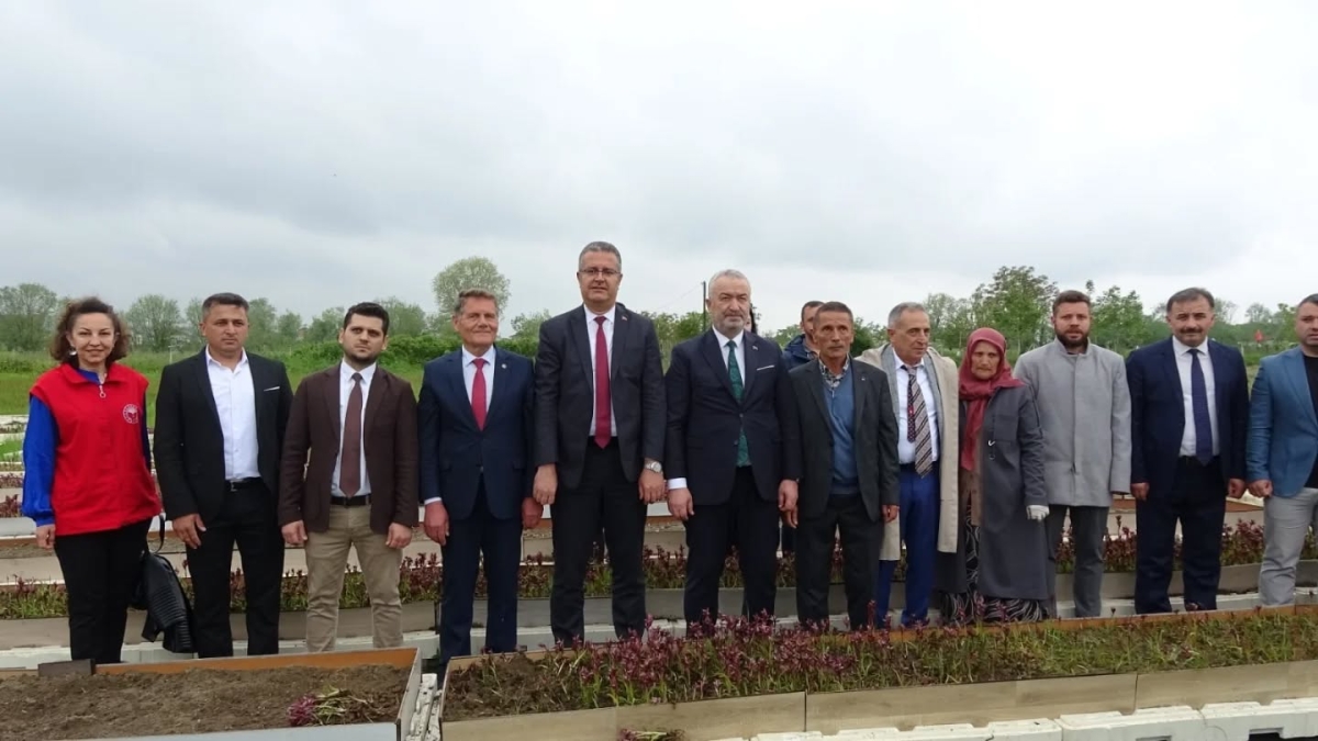 Samsun’da Salep Üretimi Katlanarak Büyüyor