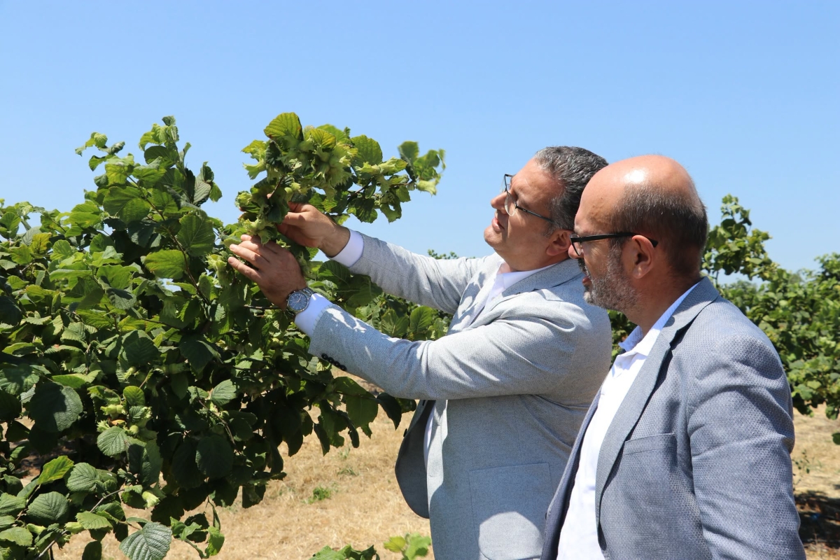 Samsun'da Tarımsal Üretimin Geleceği Değerlendirildi