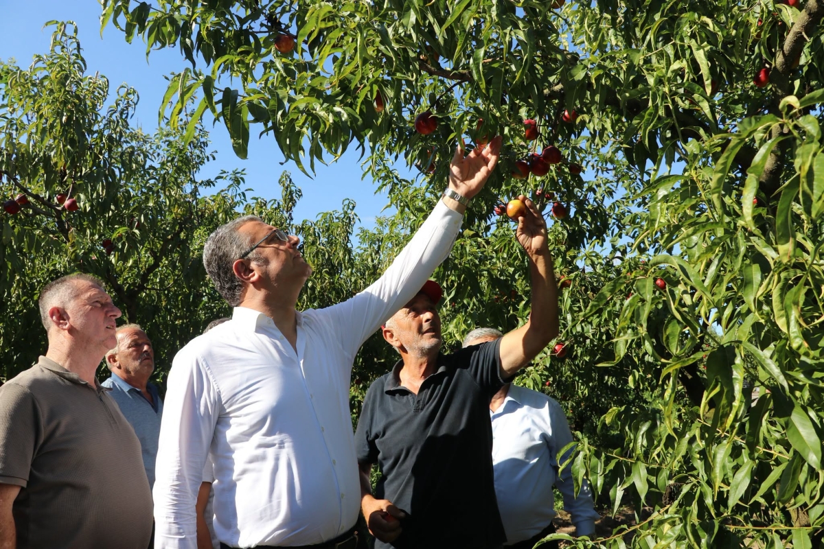 Selden Etkilenen Tarım Alanlarında Hasar Tespit Çalışması