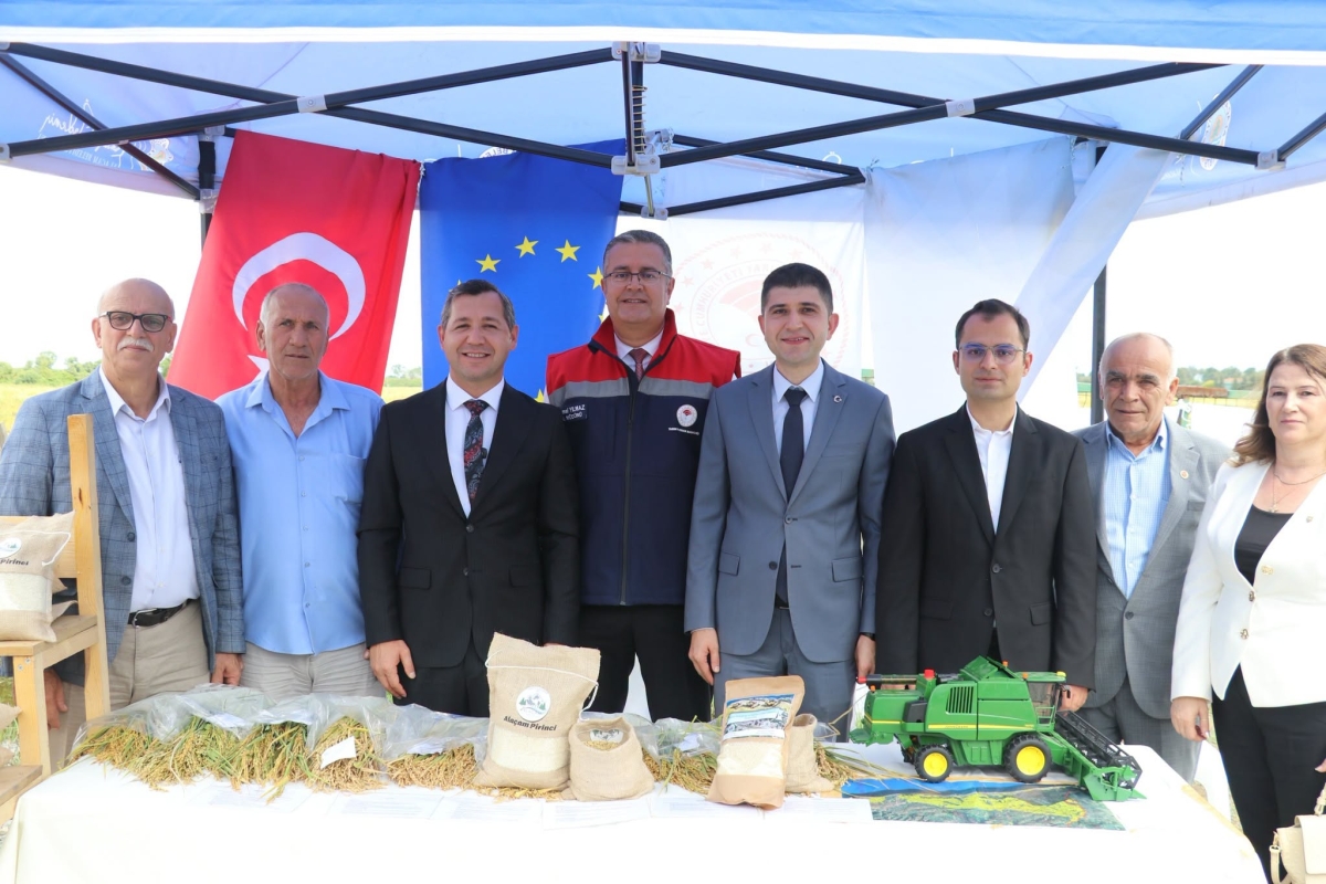 Alaçam İlçesinde Çeltik Hasadı Yapıldı