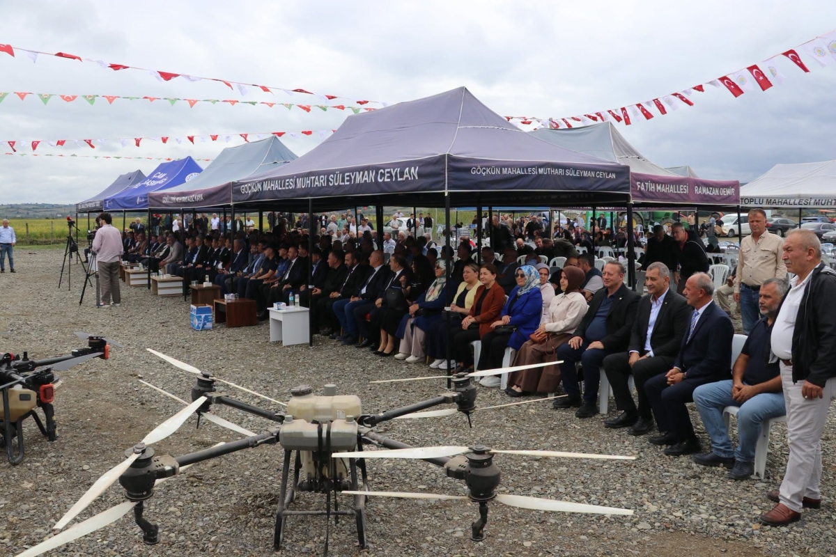 Alaçam İlçesinde Çeltik Hasadı Yapıldı