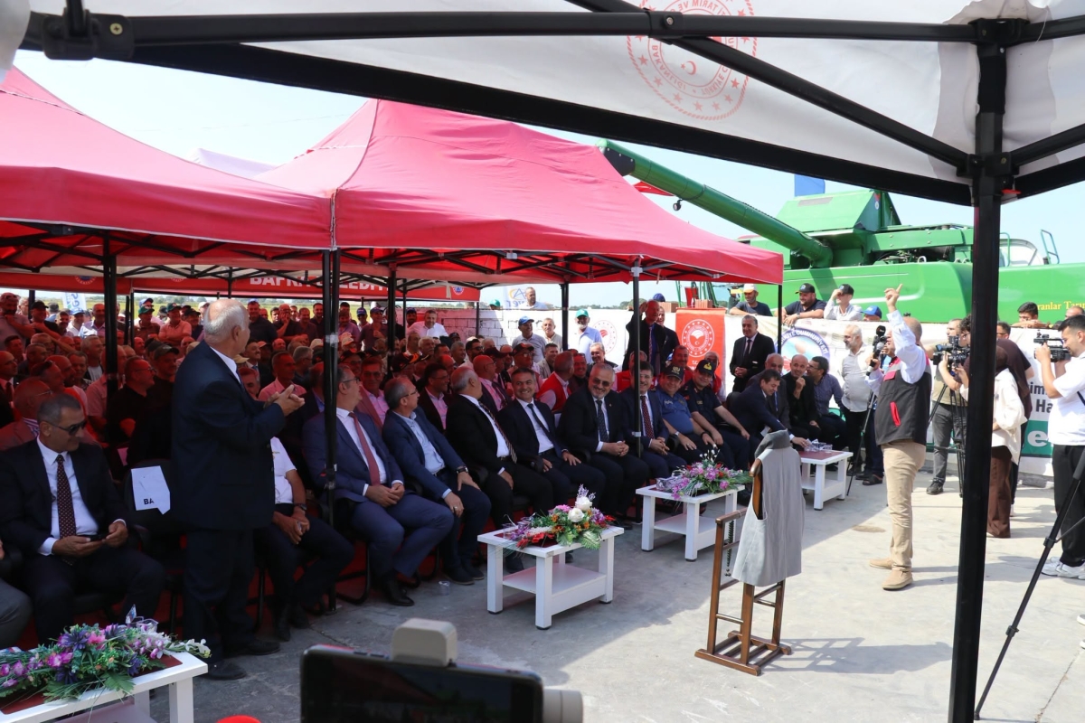 Bafra Ovası’nda 12. Çeltik Hasadı Yapıldı