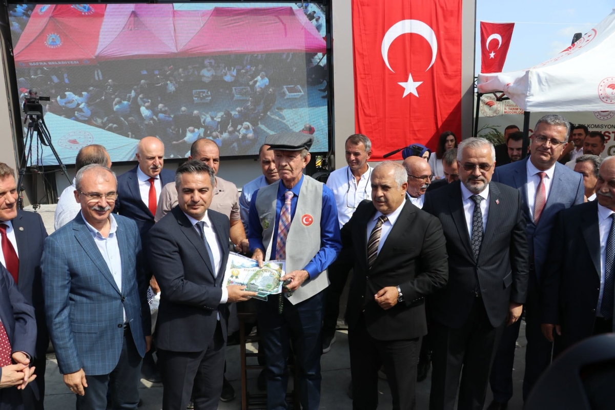 Bafra Ovası’nda 12. Çeltik Hasadı Yapıldı