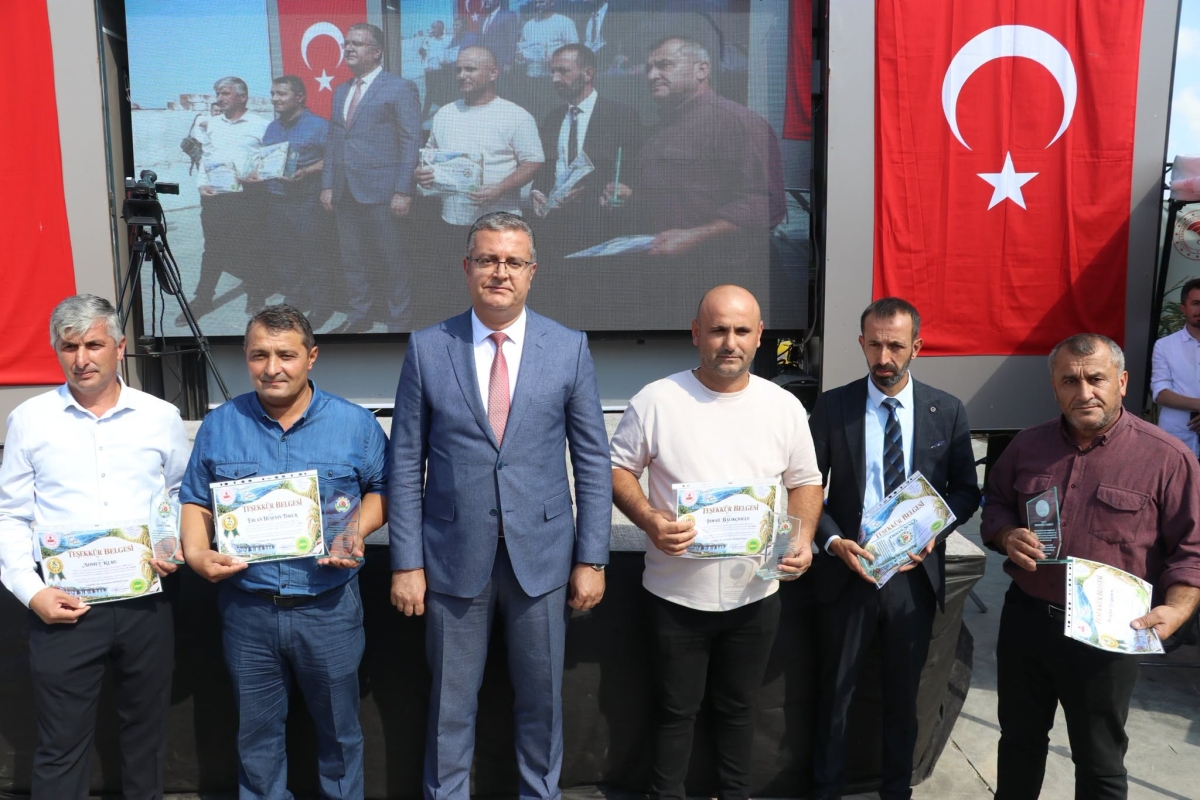 Bafra Ovası’nda 12. Çeltik Hasadı Yapıldı