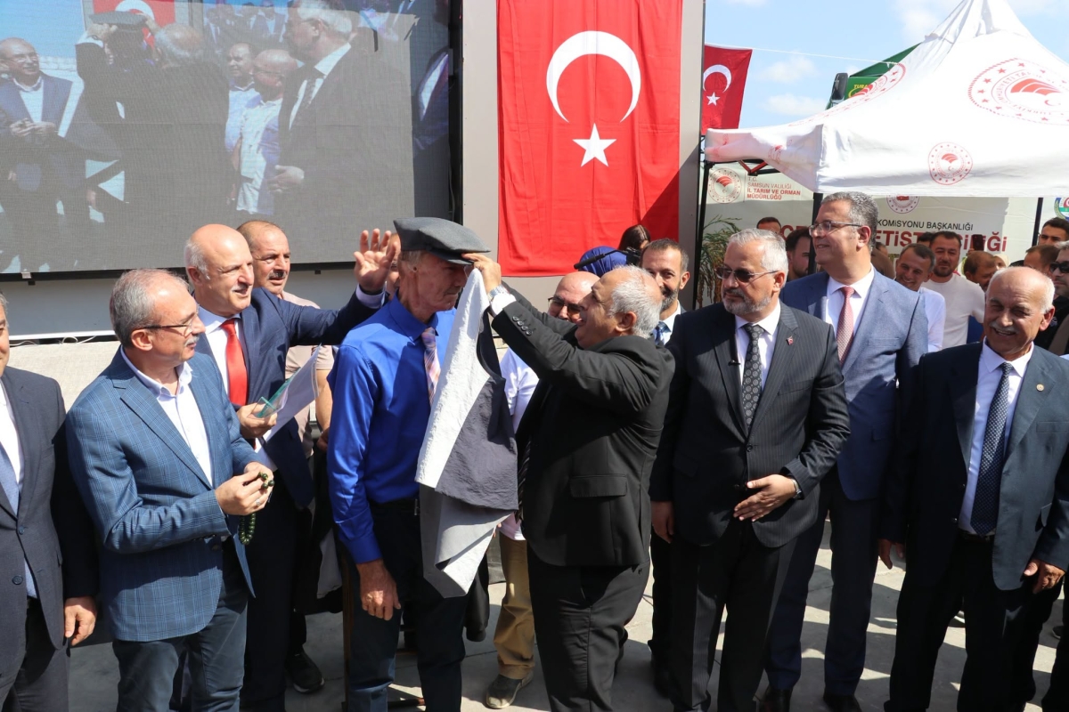 Bafra Ovası’nda 12. Çeltik Hasadı Yapıldı