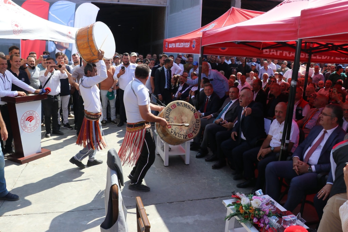Bafra Ovası’nda 12. Çeltik Hasadı Yapıldı