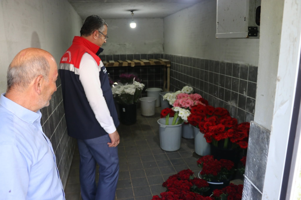Terme’de Kesme Çiçek Üretimine İnceleme