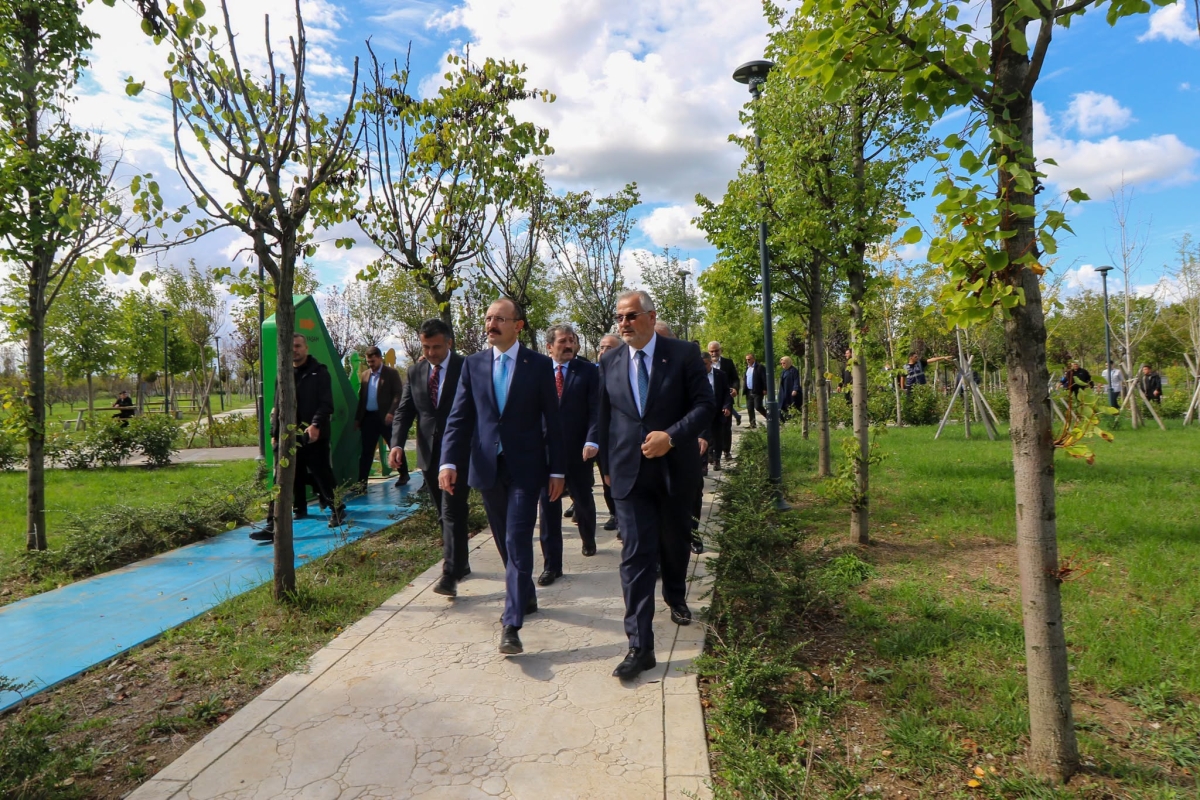 Bafra Millet Bahçesi ve Millet Kütüphanesi’nde İnceleme