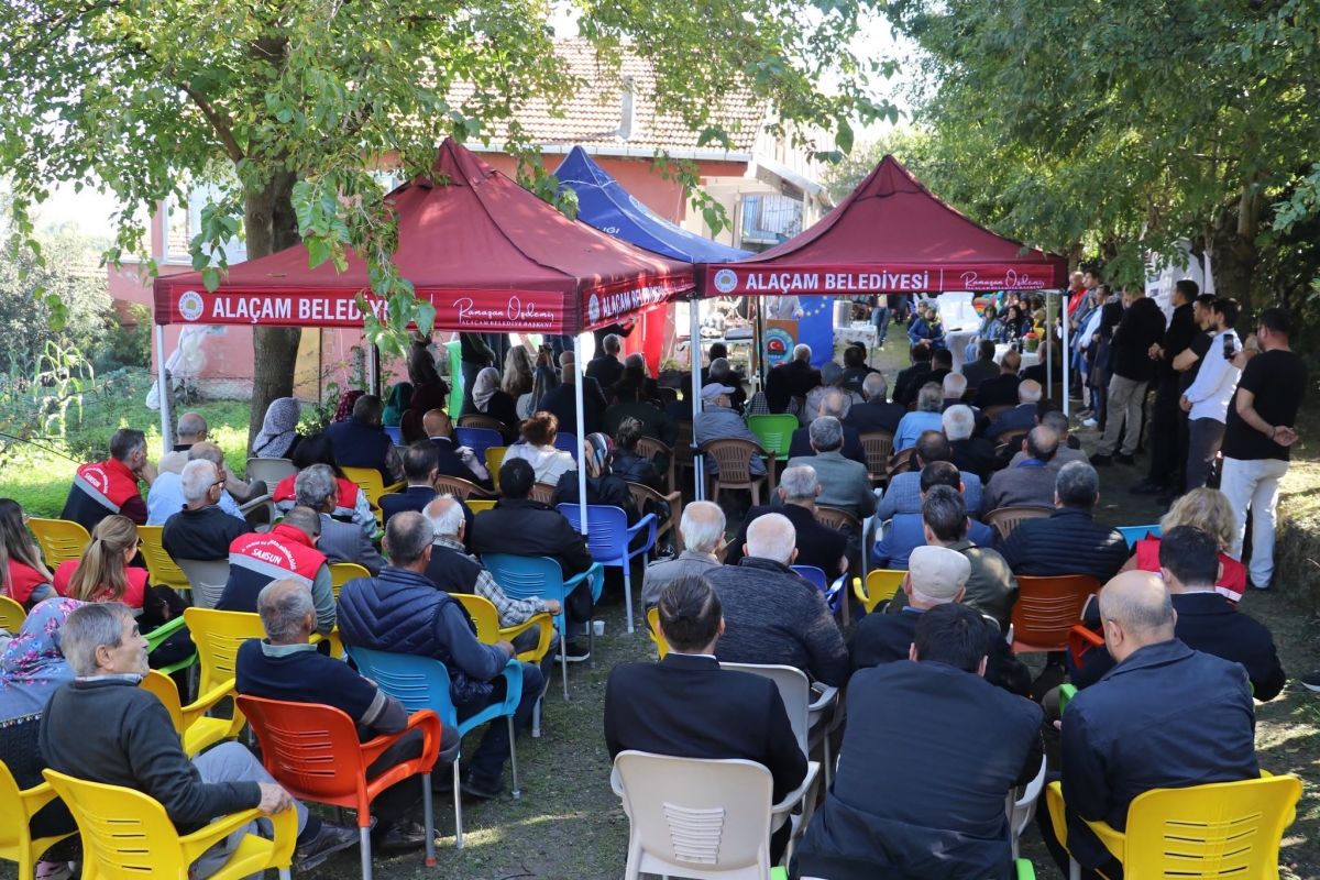 Alaçam’da Zeytin Yetiştiriciliği Yaygınlaşıyor