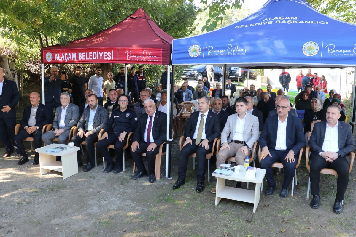 Alaçam’da Zeytin Yetiştiriciliği Yaygınlaşıyor