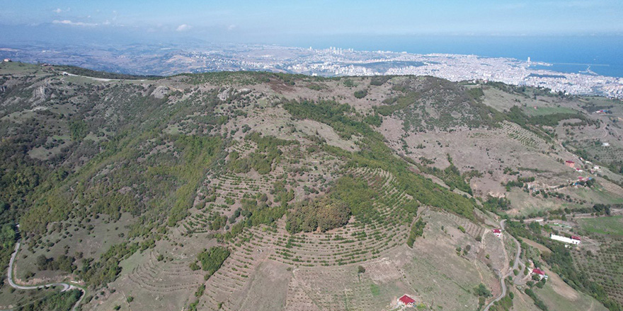Kaşyayla Tabiat Parkı 20 Yıllığına İşletmeye Açılıyor