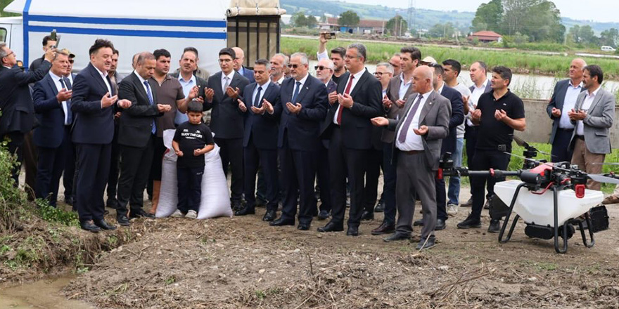 Bafra Ovası’nda Çeltik Tohumları Toprakla Buluştu 