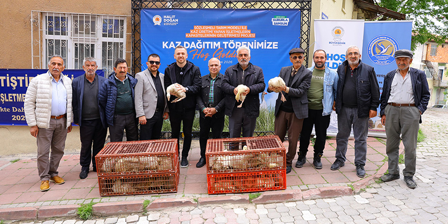 Büyükşehir’den Üreticilere Kaz Desteği