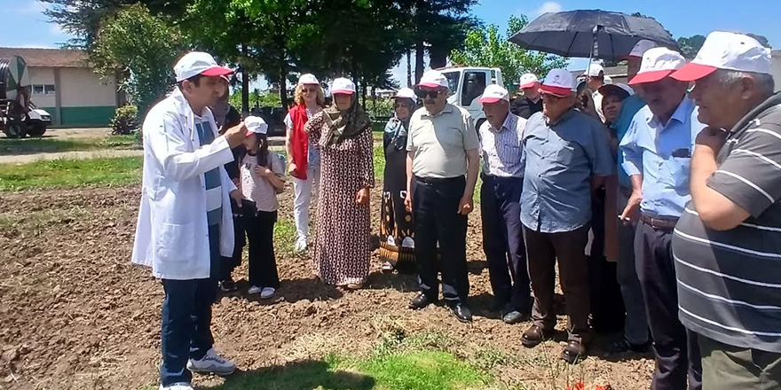 19 Mayıslı Üreticiler Yerli ve Milli Yem Bitkisi Çeşitlerini Yerinde İnceledi