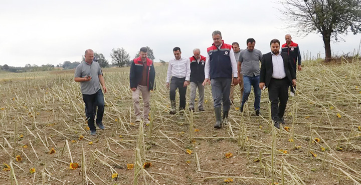 Samsun'da Dolu Afeti Tarım Arazilerini Vurdu