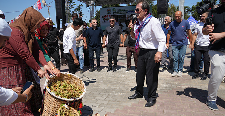 Atakum’da Düzenlenen Fındık Festivaline Yoğun İlgi 