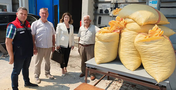 Çarşamba’da TMO’nun Fındık Alımları Başladı
