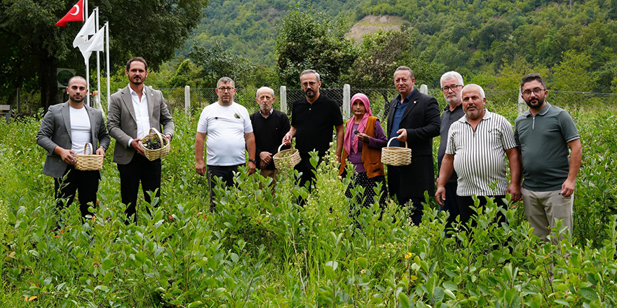 Başkan Kocabaş'tan Aronya Üretim Alanlarına Ziyaret
