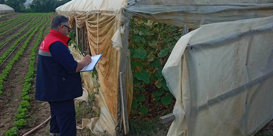 Çarşamba’da Sera Naylon Projesi Kapsamında Arazi Çalışması