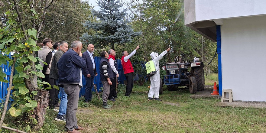Kahverengi Kokarcayla Mücadelede Cezbet-Öldür Yöntemi