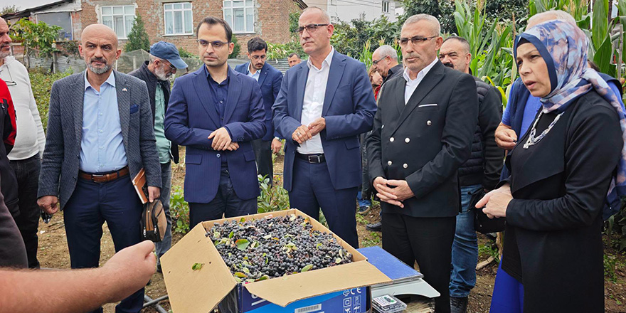 Yakakent’te Aronya Hasadı Yapıldı