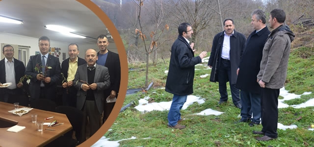 19 Mayıs’ta Kaliteli Nebiyan Kestanesi Üretiliyor