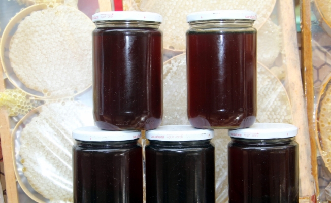 Kestane balı fiyatıyla cep yakıyor