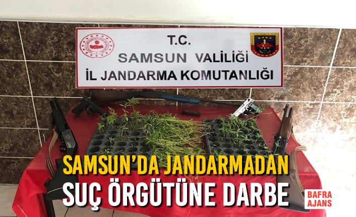 Samsun’da Jandarmadan Suç Örgütüne Darbe
