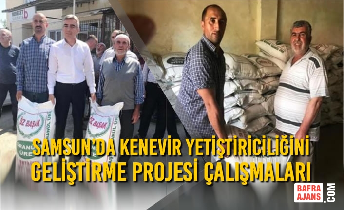 Samsun’da Kenevir Yetiştiriciliğini Geliştirme Projesi Çalışmaları