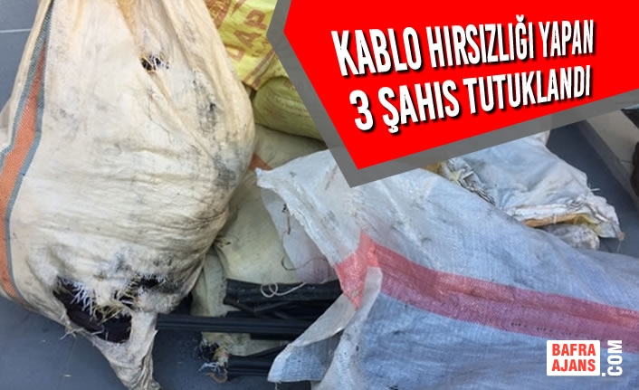 Samsun’da Kablo Hırsızlığı Yapan 3 Şahıs Tutuklandı
