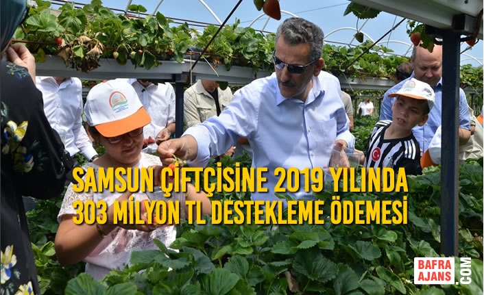 Samsun Çiftçisine 2019 Yılında 303 Milyon TL Destekleme Ödemesi