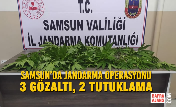 Samsun’da Jandarma Operasyonu; 3 Gözaltı, 2 Tutuklama