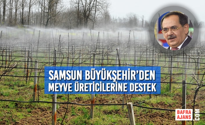 Büyükşehir’den Meyve Üreticilerine Destek