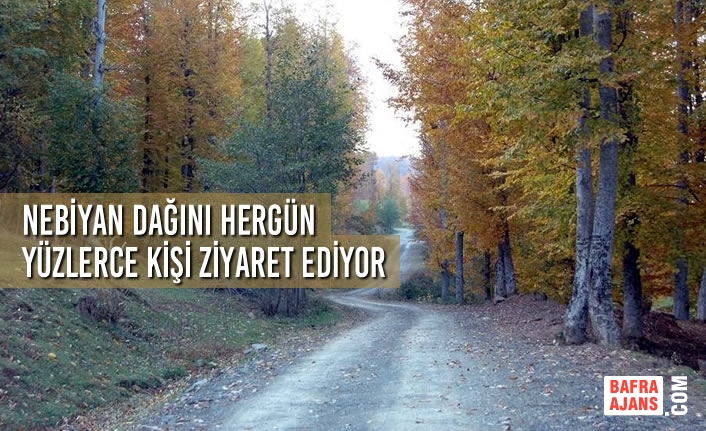 Nebiyan Dağını Hergün Yüzlerce Kişi Ziyaret Ediyor