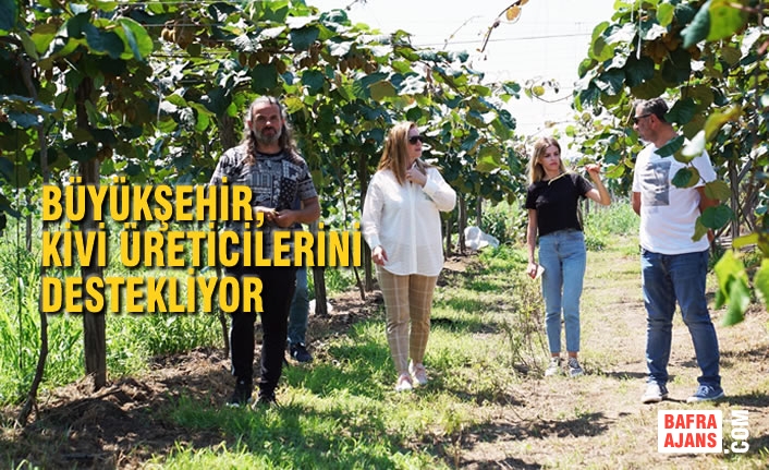 Büyükşehir, Kivi Üreticilerini Destekliyor
