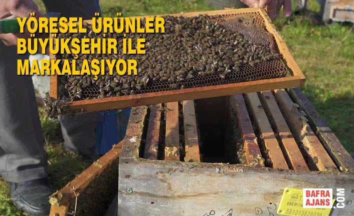 Yöresel Ürünler Büyükşehir İle Markalaşıyor