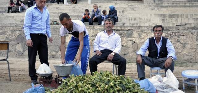 Kürtün Fındığı Piyasaya Çıktı 