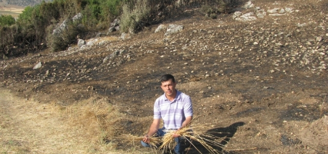 Kurumuş Otlar Yangınları Tetikliyor 