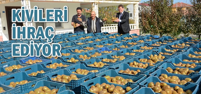 Örnek Kivici Değerli; Hasada Başladı