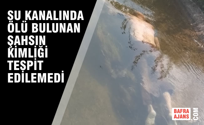 Sulama Kanalında Ölü Bulunan Şahsın Kimliği Belirlenemedi