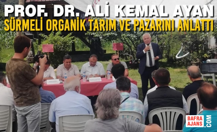 Prof. Dr. Ali Kemal Ayan, Sürmeli Organik Tarım ve Pazarını Anlattı