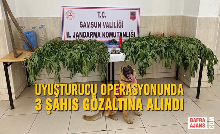 Samsun’da Düzenlenen Uyuşturucu Operasyonunda 3 Şahıs Gözaltına Alındı