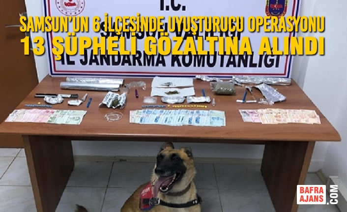Samsun’un 6 İlçesinde Uyuşturucu Operasyonu 13 Şüpheli Gözaltına Alındı
