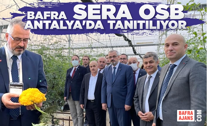 Bafra Sera OSB Antalya’da Tanıtılıyor